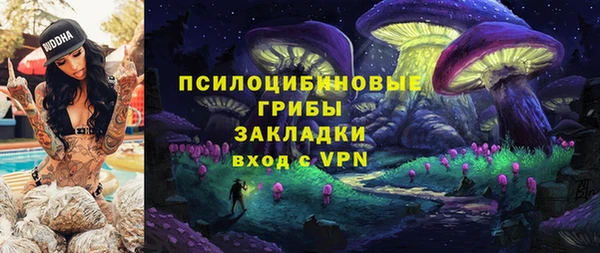 молекула духа Балахна