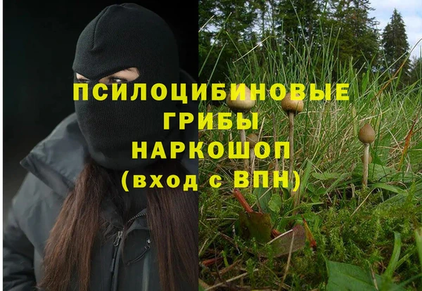 синтетический гашиш Балабаново