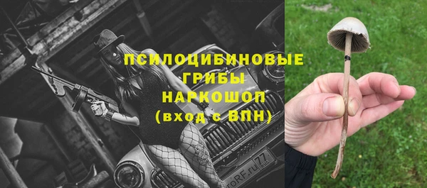 молекула духа Балахна