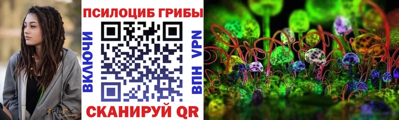 Галлюциногенные грибы ЛСД  площадка Telegram  Нюрба  mega онион 